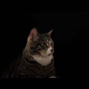 Meet your Posher, Edwena